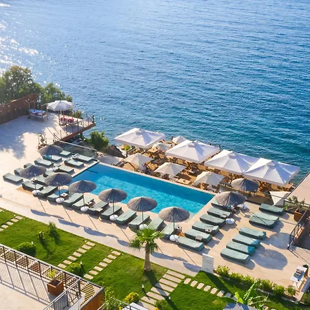 Nixie & - Adult Only