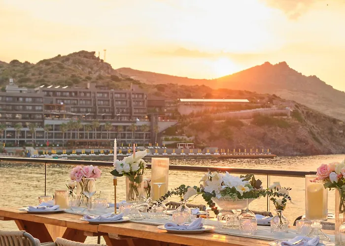 Nixie & - Adult Only